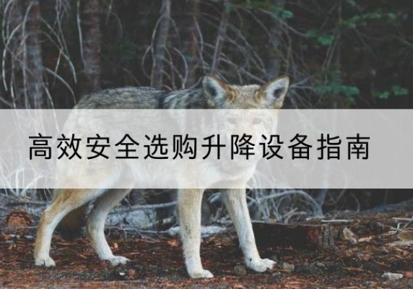容城升降货梯厂家推荐-*安全选购升降设备指南