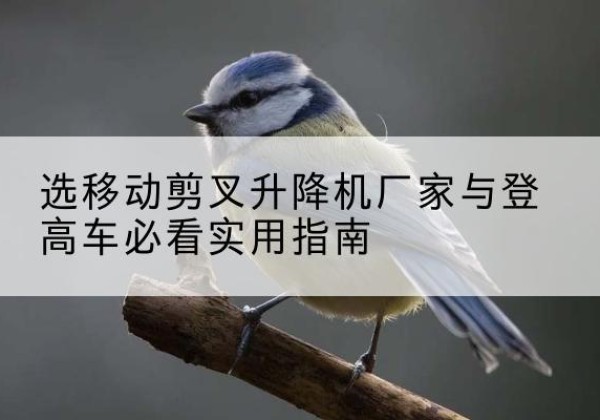 容城电动升降机厂家-选移动剪叉升降机厂家与登高车必看实用指南