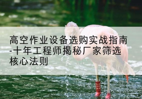 容城剪叉式升降机厂家-高空作业设备选购实战指南-十年工程师揭秘厂家筛选核心法则